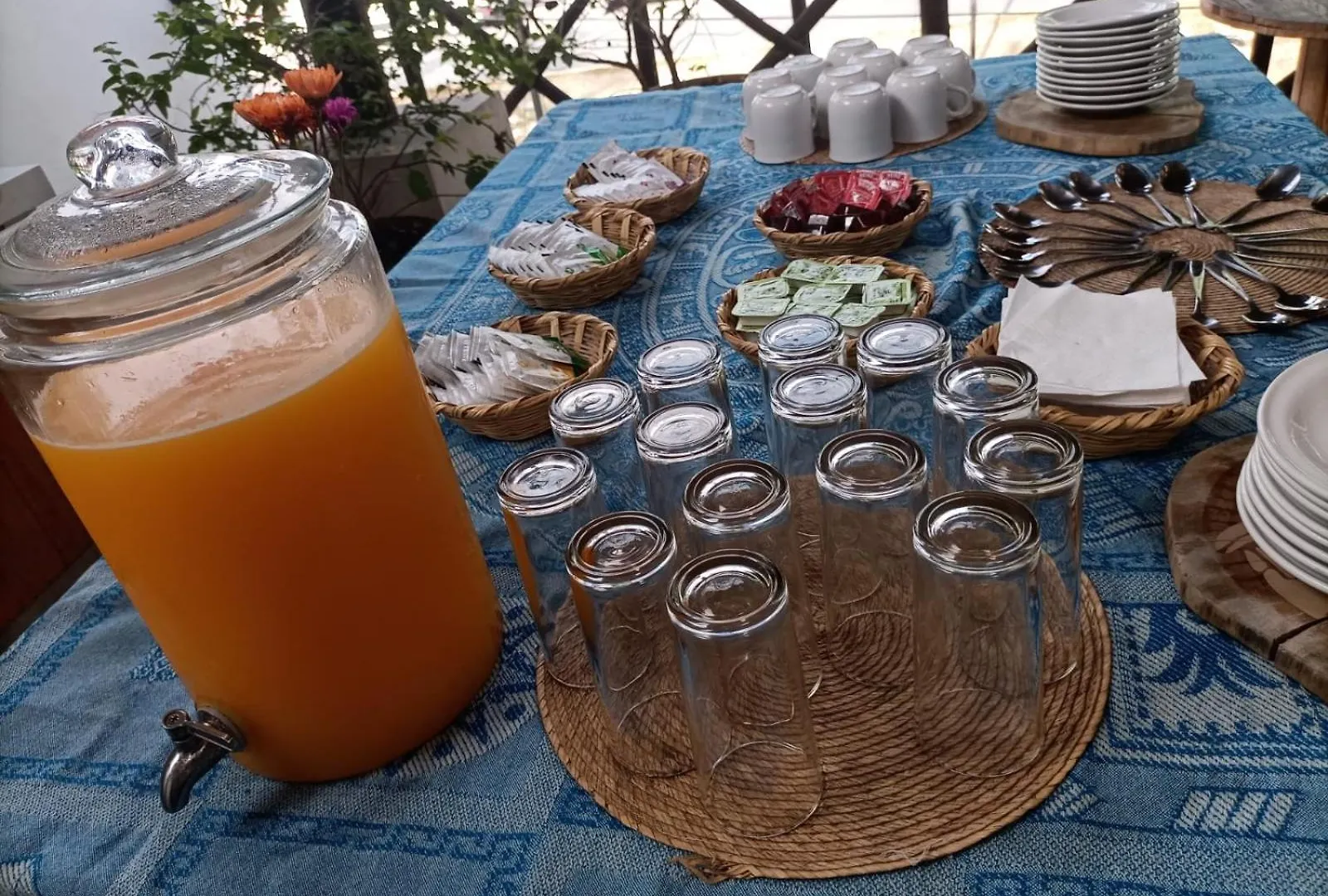 Mio Tulum Hotel Boutique